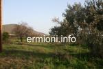 GL 0172 - Plot of land - Wista - Ermioni